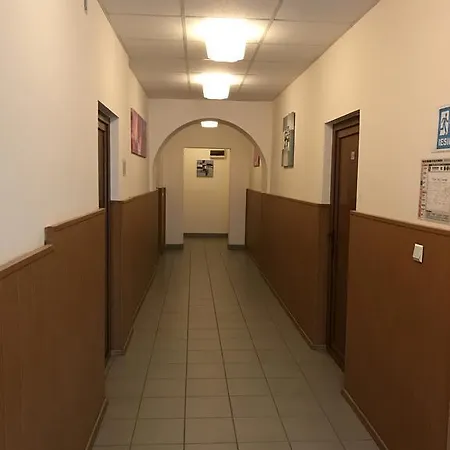 Pensiunea Saseasca 3* Leresti